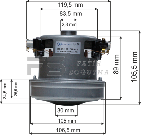 BT 19