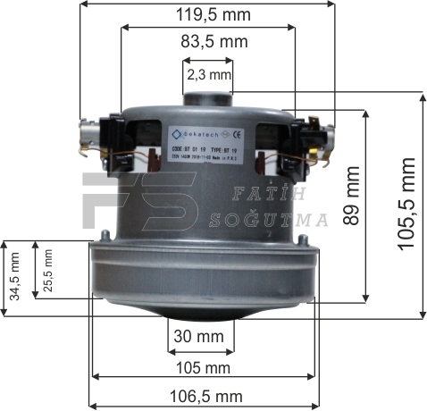 BT 19