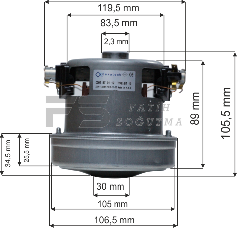 BT 19