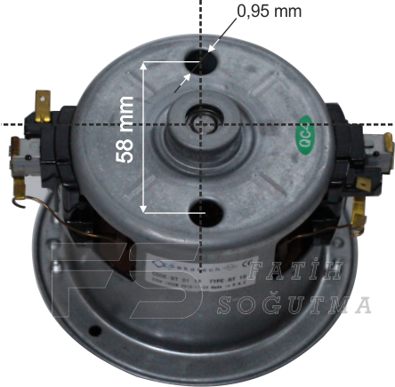 BT 19