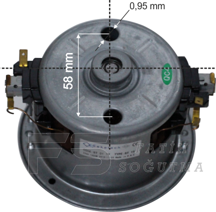 BT 19
